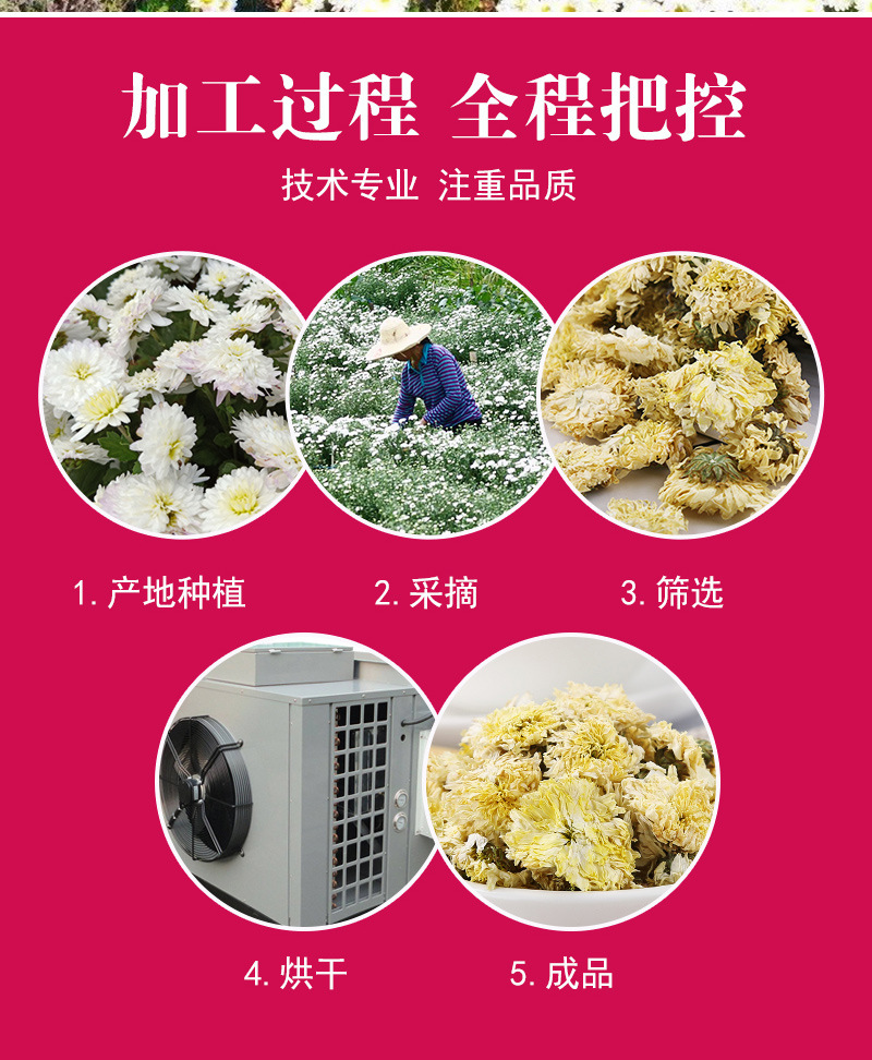 Huangshan Gong Ju (Chrysanthemum morifolium) — Dried White Chrysanthemum Flower Tea, 500g Bulk preparation