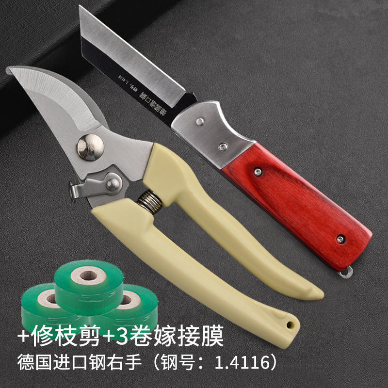ドイツから輸入した果樹接ぎ木用の鋭い鋼のナイフ、大きなバラの左手用の特別なツール、プロの接ぎ木ナイフ|undefined