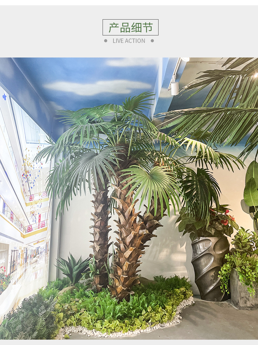 天昆棕榈树_05.jpg