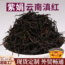 云南紫娟茶红茶花青素高工夫红茶紫芽花果香凤庆滇红茶散茶批发