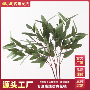 �����ָ��ȼ������W�ٽ��X�~��֦��䴹���~�Ƶ�ܛ�b��ˇ�������l