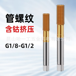 ����⁹��ݼy�D���z�FG1/8-28 �D��G1/4-19 �D��G3/8-19�z��