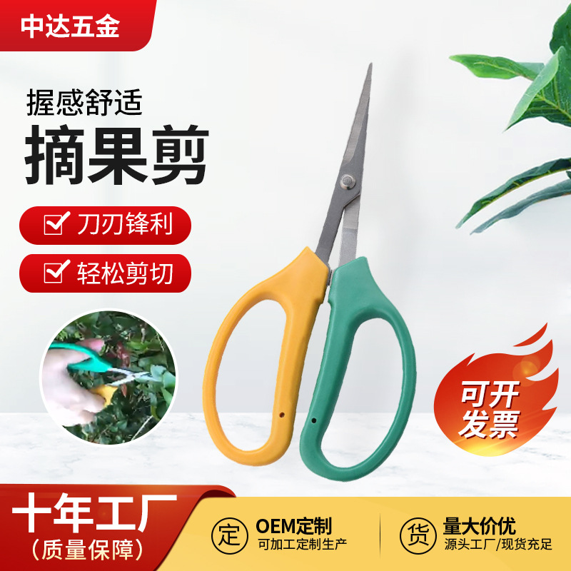 园艺剪刀便携式翘头摘果剪修枝剪花果园葡萄树枝修剪剪刀不锈钢