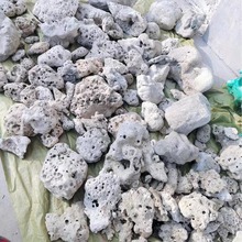 珊瑚石 珊瑚骨水族工程鱼池过滤海鲜池海洋馆过滤材料
