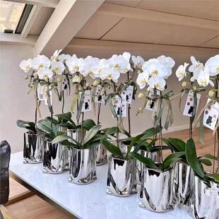 ���W�L�p�����yɫ�����մɻ�ƿ�����m����Ҿӿ͏d���滨�[��