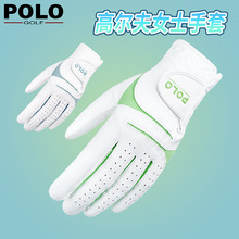 POLO新款高尔夫球手套 女士双手超纤布防晒耐磨透气golf手套209款