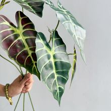 ߷^~GֲҾbRd羳ڿȸ~c^ɏ~b