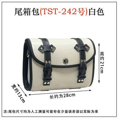 Gingila 350ACE Bumper Backrest | Motorcycle bumper - white-tail-box-bag-tst-242
