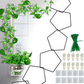 跨境专供 植物攀爬支撑架创意山乌龟花盆支架爬藤架金属铁艺固定