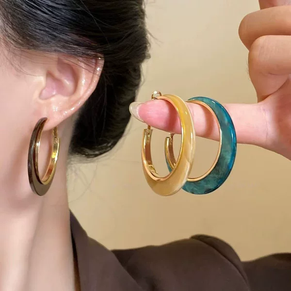 Maillard Retro Brown Large Hoop Earrings for Women Hong Kong Style 2025 New Hot Style High-End Elegant Earrings