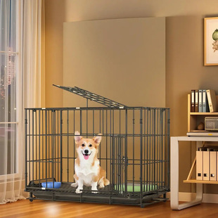 ���\��С��Ȯ̩�ϱ��ܲ��������҃����͹��C����������\؈�\�e��