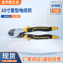 ����10��������|���ք�������|�������I��̼䓼����Q