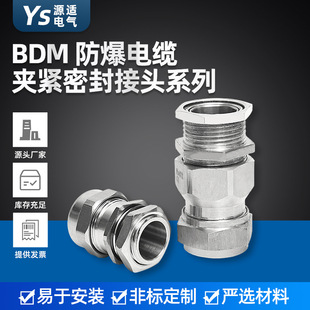 zb|^ P䓷Ϻ BDM|Aoܷ^