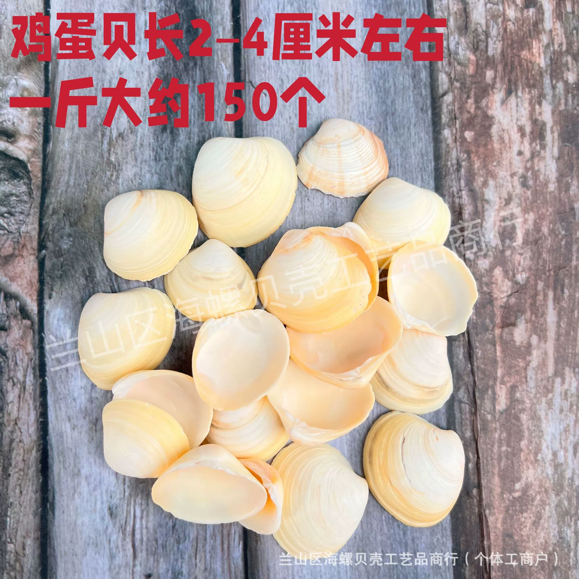 Shell Natural Shell Conch Stars Drifting Bottle Shell Crafts Wholesale Diy Handmade Shell Materials