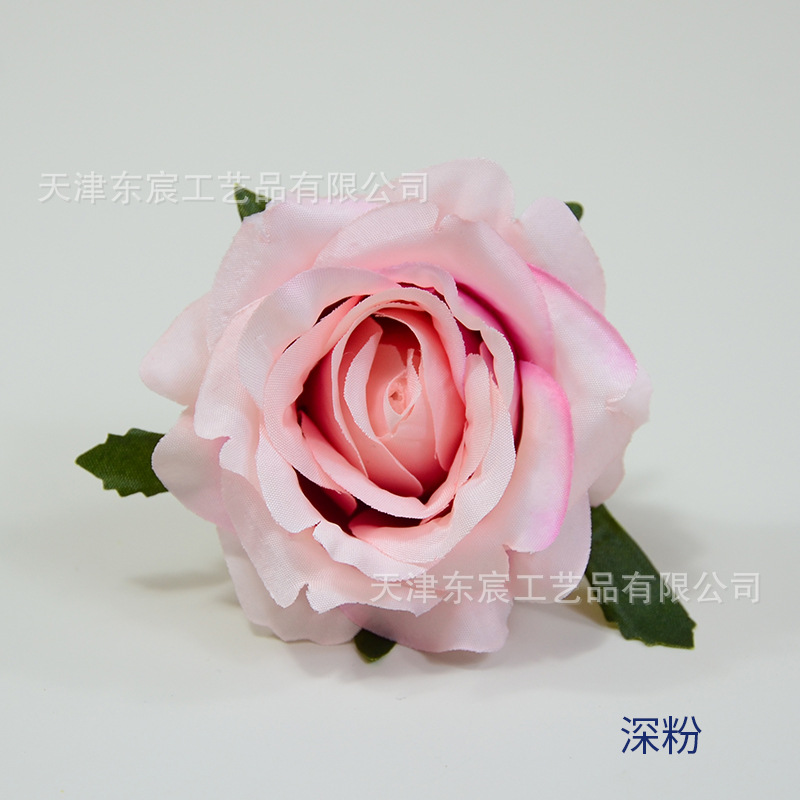 딥 파우더