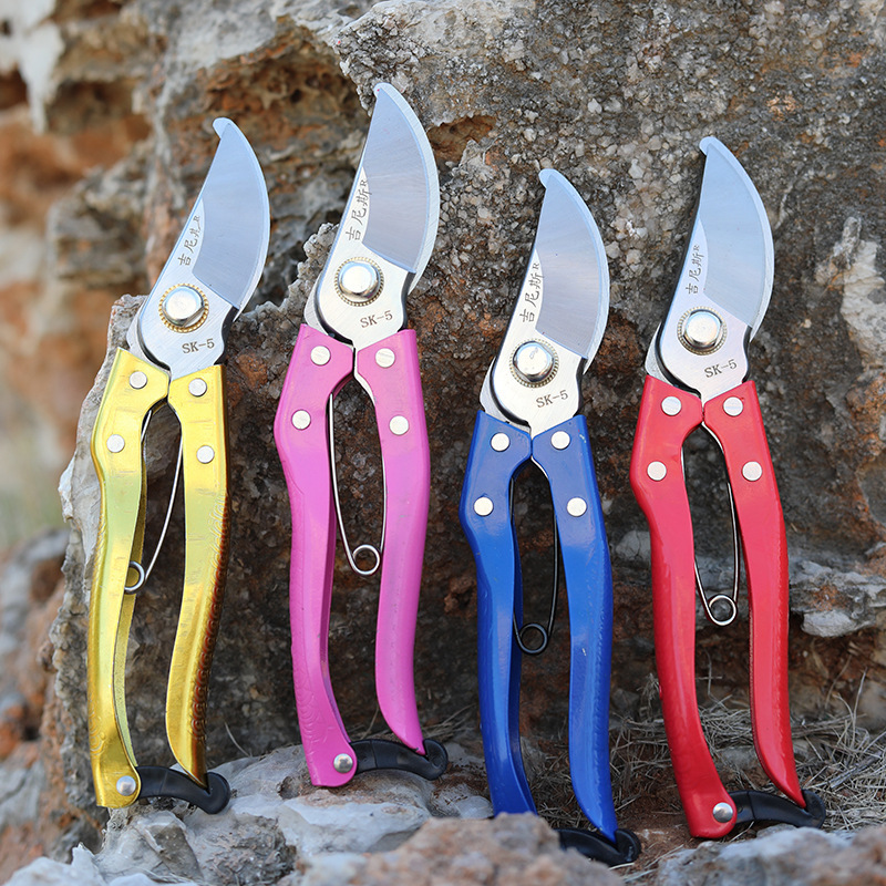 五金园林工具果枝剪吉尼斯C1型金把红色蓝色柄剪枝修枝剪果枝剪刀