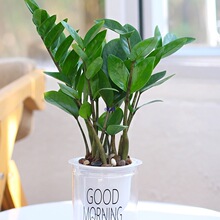 �G�}�簲��Gֲ��ˮ���p�������Է��Ǵ�̖�Ԅ���ˮ���˶��⻨��