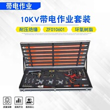 �ܿ���·���ʽ��Ե��������Ϲ���10KV������ҵ��װZF010601