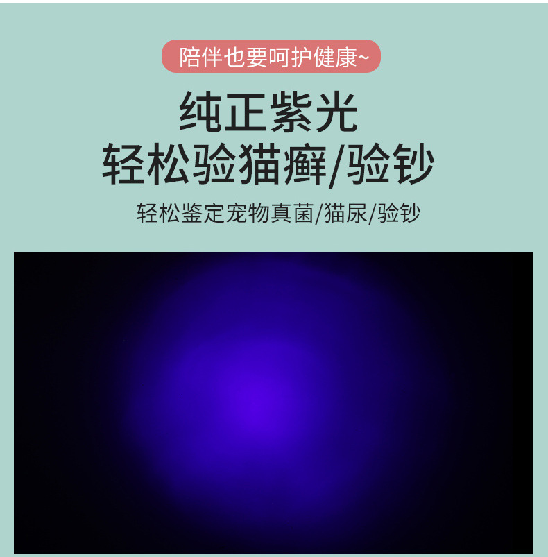 USB直充不锈钢迷你充电手电激光图案紫光逗猫棒猫癣自嗨猫咪用品详情9