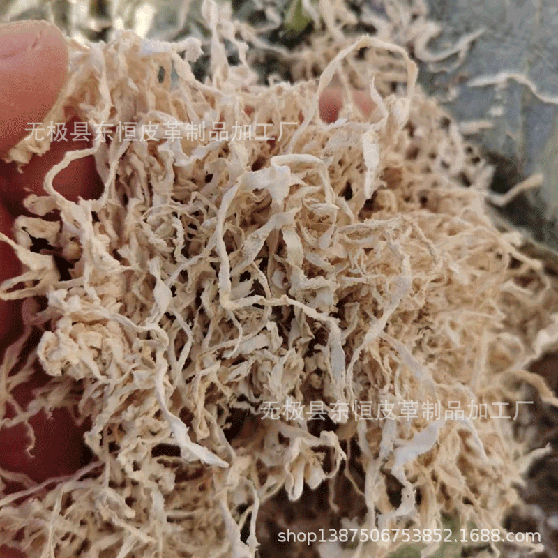 河北 源头厂家 干皮丝 猪皮丝 干猪丝  蛋白原材料 二层 皮丝