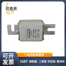 ����RS6-2 NGT2 690V 100A200A300A�������Ϳ����۔�������r��