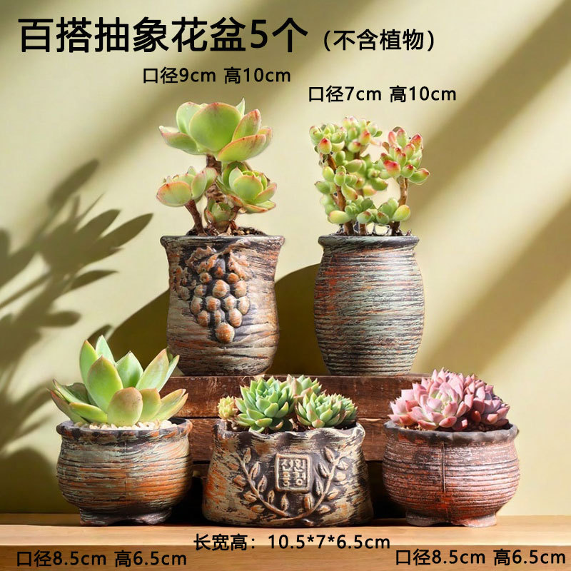 Macetas suculentas abstractas de mezcla y combinación retro, macetas de cerámica pequeñas especiales para plantas de carne doméstica, venta directa de fábrica al por mayor