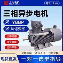 ��������׃�l늙CYBBP���ஐ������늄әC5-50Hz�����L����s