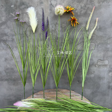 ���W��Ȼϵ������[�� �JȔ��Ī�λ��@�Lֲ���쾰ֲ�ﹷβ�ݙ���