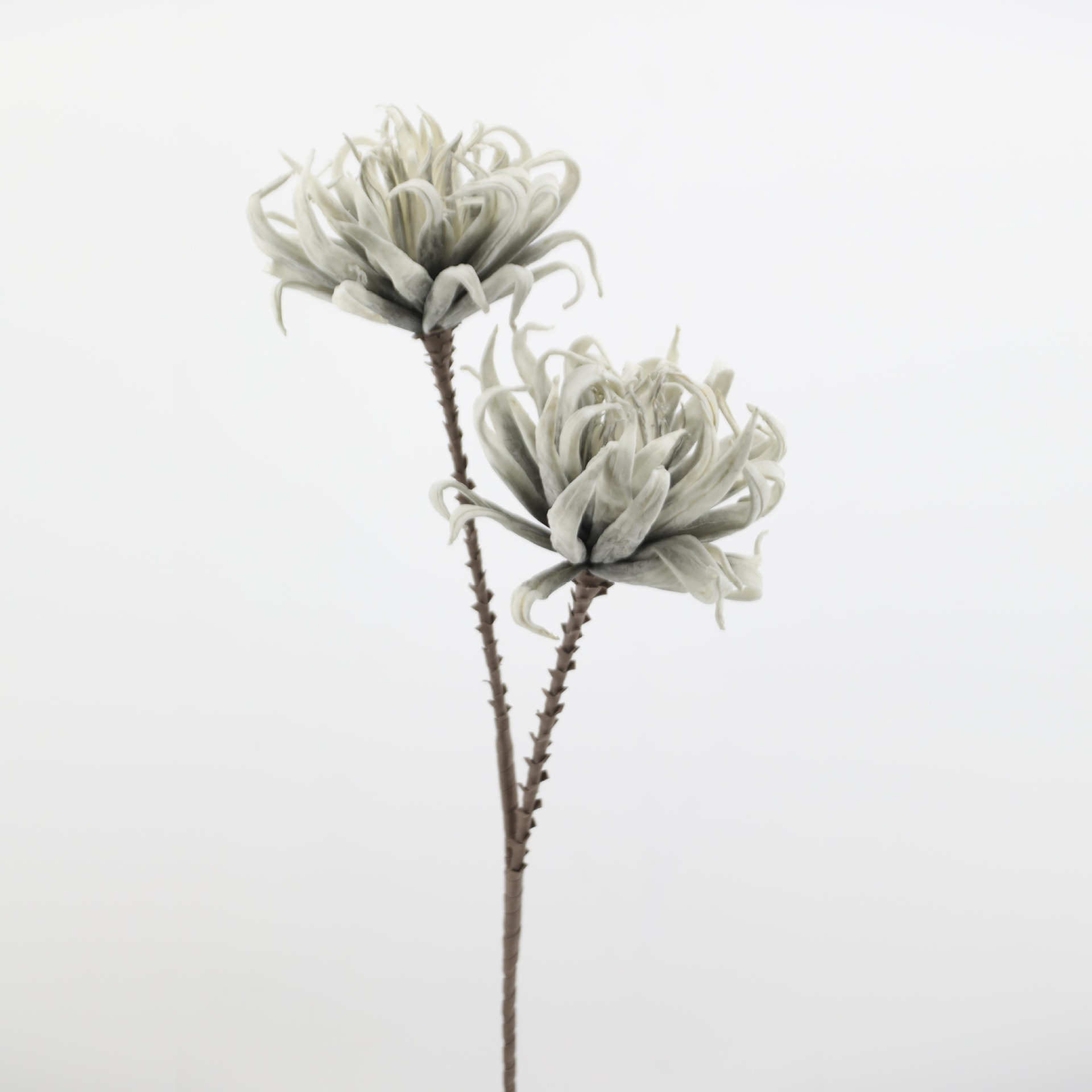Flor de EVA PE falso patrón de decoración floral floral suelo floral flor seca floral suave floral espuma flor fotografía de boda