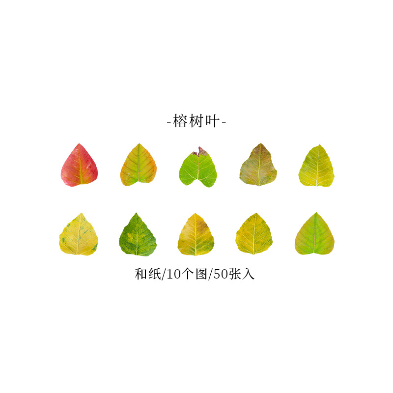 Hermosa serie de hojas caídas de xiangxie día deja cinta de forma especial Diario pegatinas decorativas base 8
