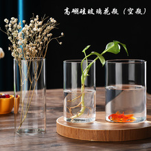 高颜值花瓶摆件水培透明玻璃花瓶创意客厅简约高硼硅玻璃花瓶