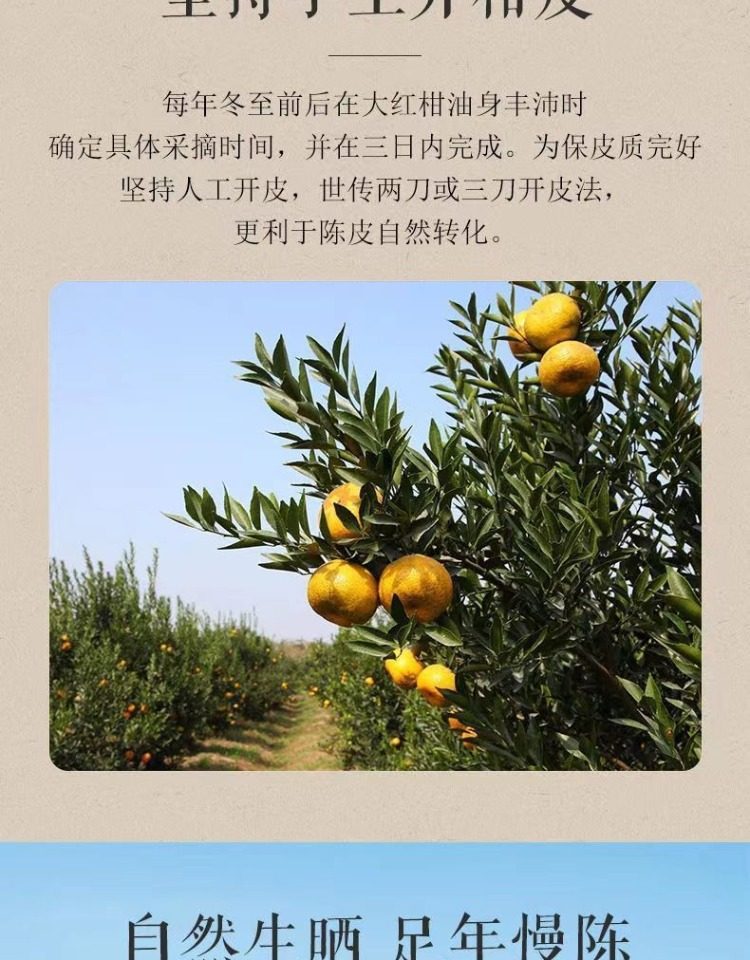 Xinhui Chenpi Aged Tangerine Peel Tea 15 Years Dried Citrus Peel for Brewing Loose Tea Bag or Canister quality and texture