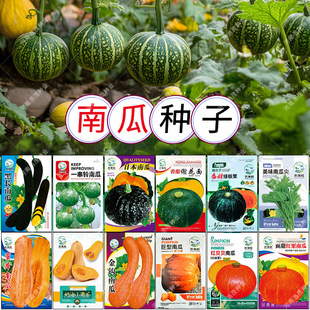 �t�Gؐؐ�x��������Ŵ�����ձ����hһ����۱���������С�ϹϷN��