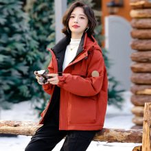 ����������q��Ů2025�����Ӻ�ů�����qŮʿ�r�Б���_�h������