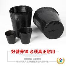 ?IBIBIBNֲѨ籭һԼӺ