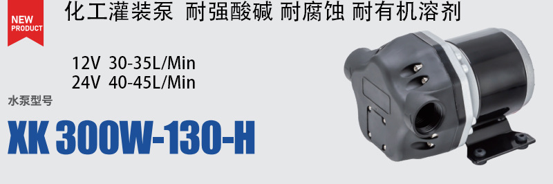 300W 灌装化工泵
