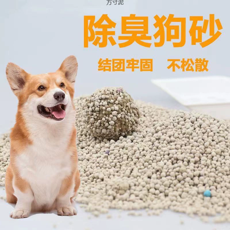 Собака тянет собаку, песок, песок, песок, собака, песок