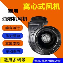 �����͟��C�x��ʽ�L�C����֟���܇���L�����~��늙C�L�C