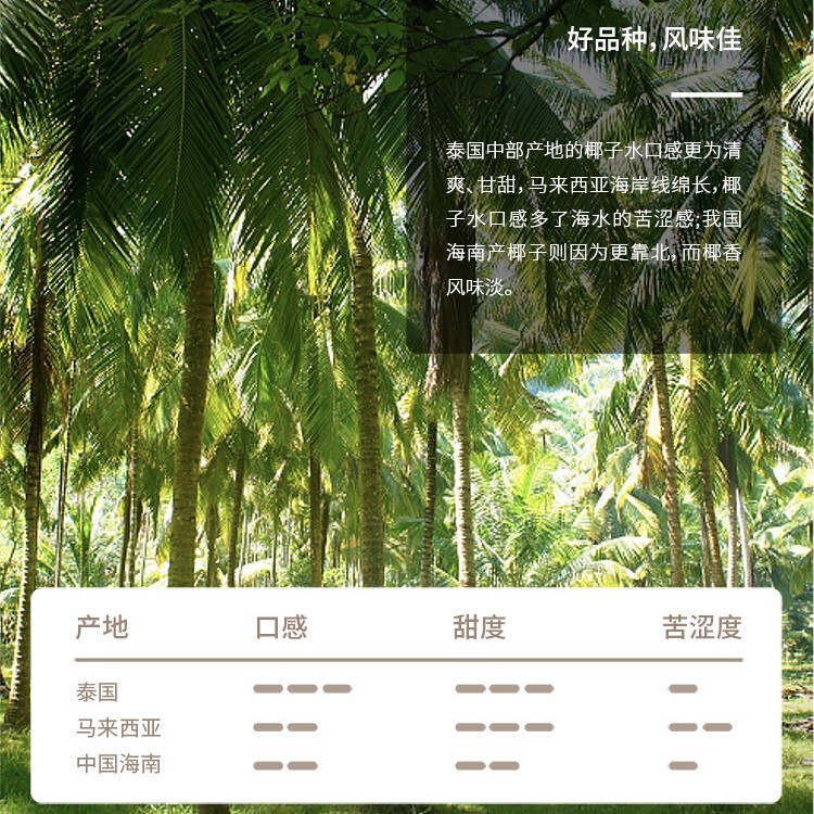 包邮批发泰进口IF椰子水350毫升|undefined