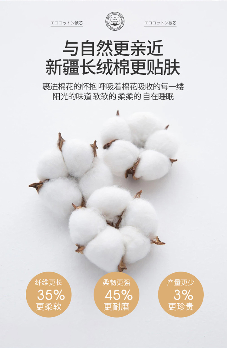 迹添雅 100%棉花被子亲肤水洗棉冬被芯春秋被