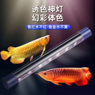 ���~�����~��led��ˮ�lɫ�^�p��ˮ�������t���~��ȫ���V�����ܟ�