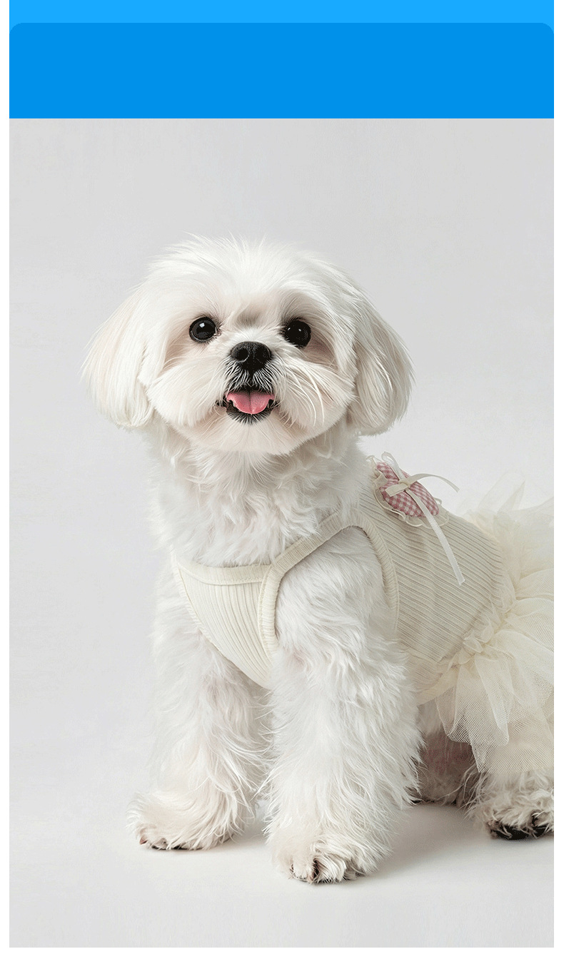 Robe d'été pour chien et chat en dentelle anti-poils_voghion.com