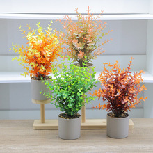 ����Gֲ�����������Ԕ[�����W�ٻ��ȼ���С�辰���Ͻ��X�~���[��