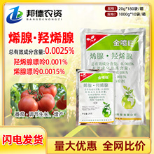 �б�����������ϩ���uϩ�����a��������������M���L�~�G���{����