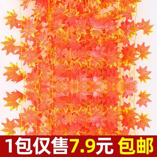 �t�����~��֦�ܵ��p�@�b�����Ϸ����ٗl�ٻ��@�֘�ľ�G���쾰