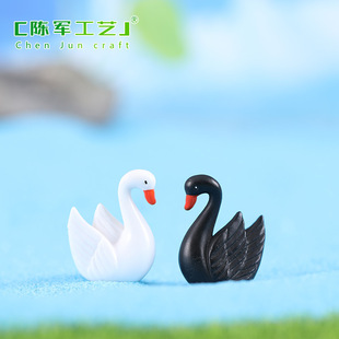 Black and White Feather Swan Micro Landscape Ornaments Succulent Ornaments Zakka Creative Gift Ornaments Dolls