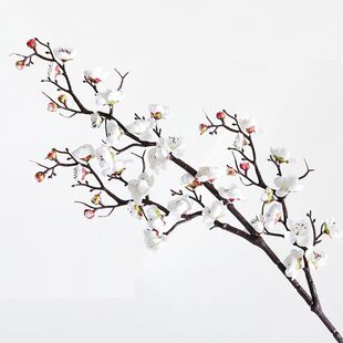 ÷�����滨��֧�D÷�ٻ���ʽ�Ҿ��b[�O�廨�͏d�����[���ɻ�֦