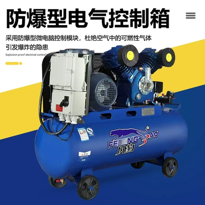 Hava kompressorları – Leopard Explosion-Proof Air Compressor Large