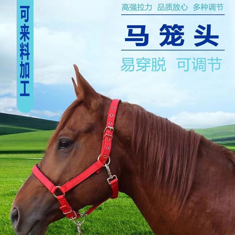 El procesamiento de material de costura de automóvil personalizado no es fácil de romper la cabeza de la jaula LOGO equipo equestre pequeño pedido fijable arnés de caballo antideslizante quilting image 1