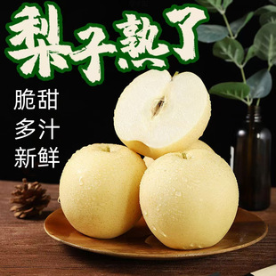 �ӱ��ʹ���10���������rˮ������5�ﮔ��ѩ��3��ǴXɽ������ʳƷ